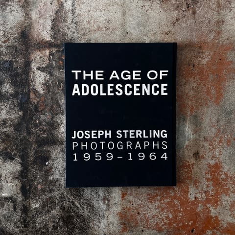 Joseph Sterling, The Age Of Adolescence, 2005