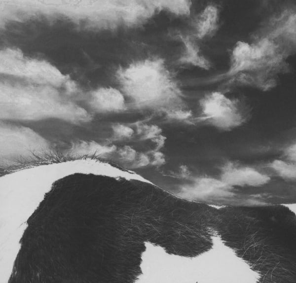 Chico Seay, Geo & Clouds, 2023