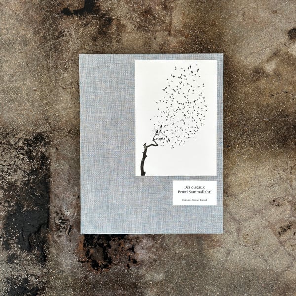 Pentti Sammallahti, Des Oiseaux, 2018