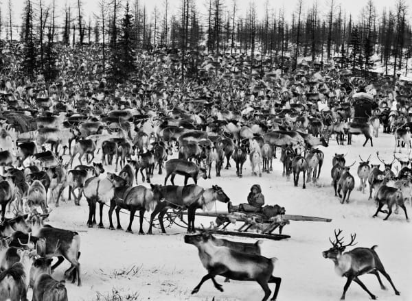 Sebastião Salgado, Nenets, Yamal Peninsula, Siberia, Russia, 2011