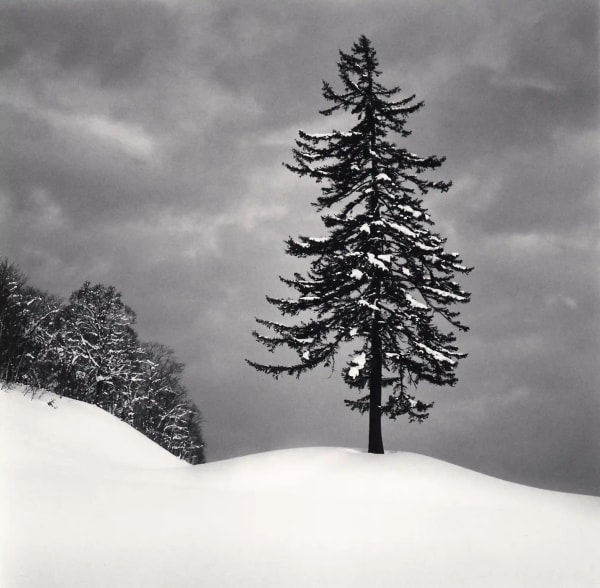 Michael Kenna, Spruce Tree and Snow Clouds, Esashi, Hokkaido, Japan, 2023