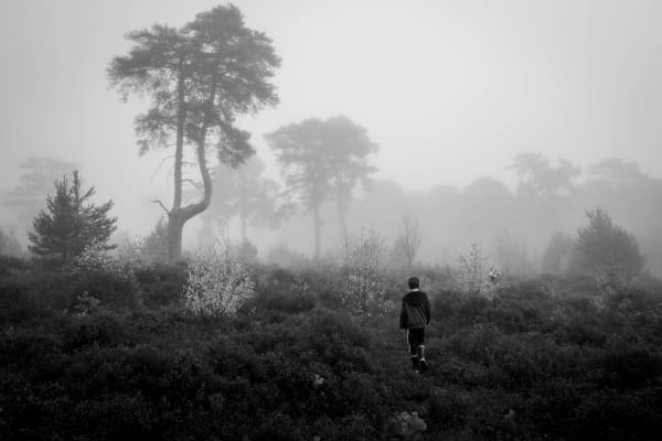 Mathieu Chaze, The Call, 2020