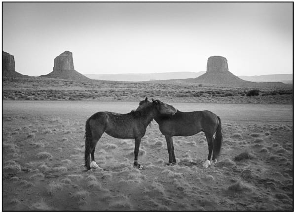 Robert Brecko Walker, Horses, Mesas, Navajo Territory, Arizona, 1977