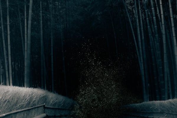 Albarrán Cabrera, The Mouth of Krishna, #398, 2015