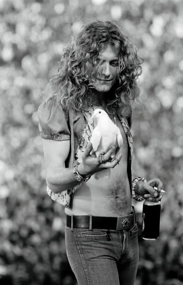 Neal Preston, Robert Plant, Kezar Stadium in San Francisco, California, June 2, 1973