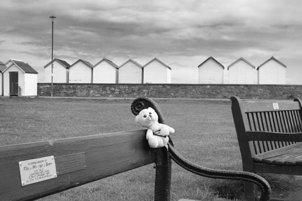 Roger A. Deakins, Memorial Teddy Bear, Goodrington, 2021