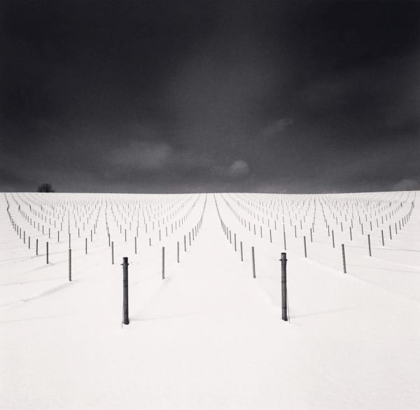Michael Kenna, Field of Sticks, Kamikawa, Hokkaido, Japan, 2023