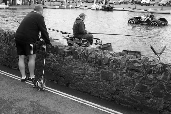 Roger A. Deakins, Angling Contest with Dog, Bude, 2021