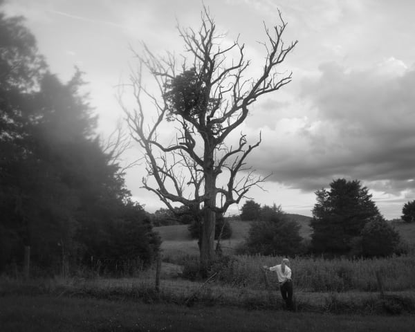 Erinn Springer, Sally (The Tree), 2025