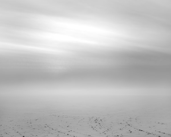 Erinn Springer, The Prairie, from the series Dormant Season, 2021