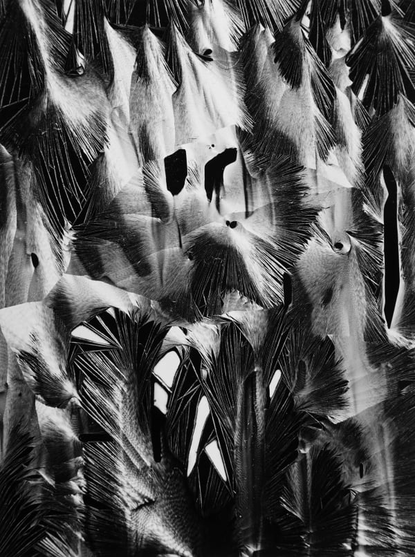 Brett Weston, Cracked Plastic, Garrapata Beach, California, 1955, printed 1970's