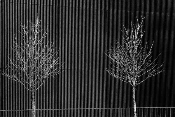 Kit Young, #14, Chicago, IL, from the series LOOP, 2023