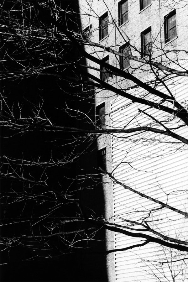 Kit Young, #15, Chicago, IL, from the series LOOP, 2023