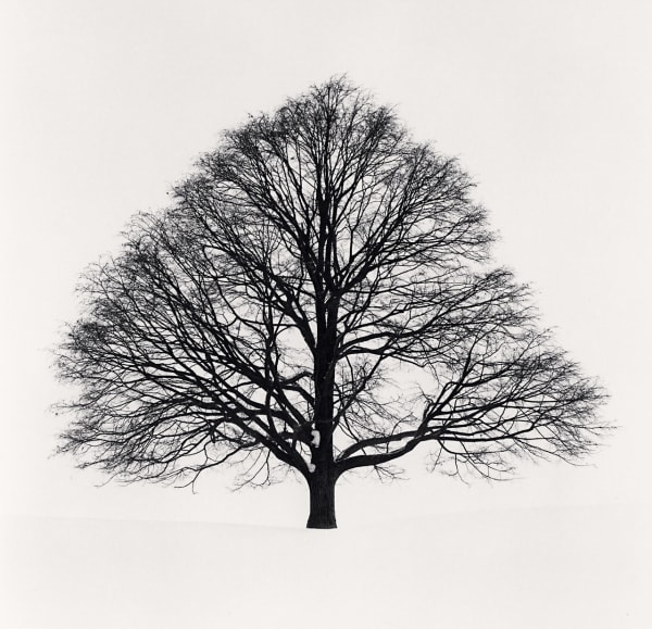 Michael Kenna, Cikisani Kamuy, Study 1, Sorachi, Hokkaido, Japan, 2023