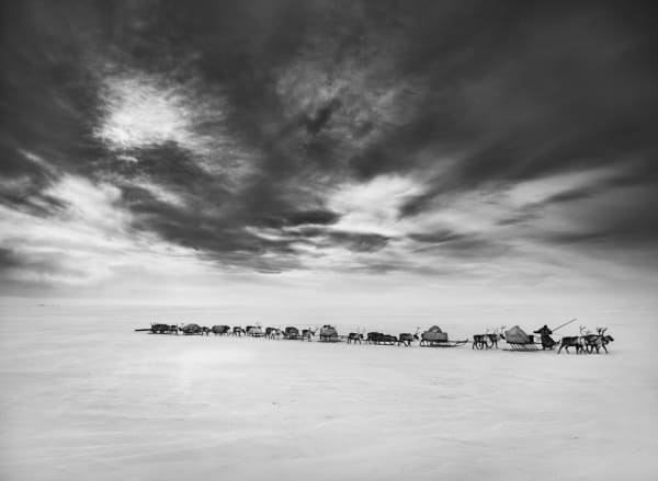 Sebastião Salgado, Nenets, Yamal Peninsula, Siberia, Russia, 2011