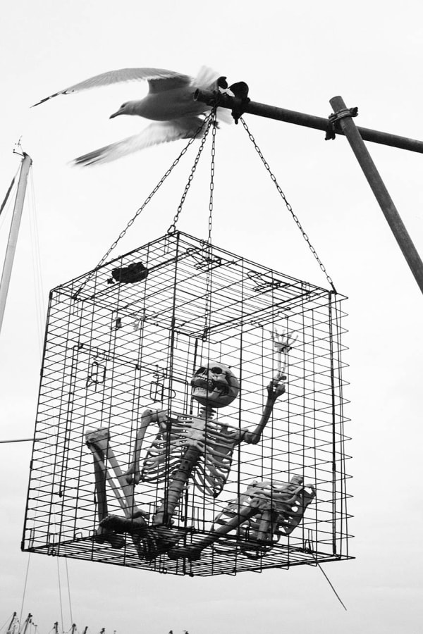 Roger A. Deakins, The Hungry Pirate, Brixham, 2021