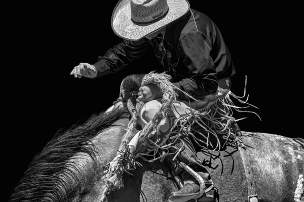 Jim Krantz, RODEO no.1, 2013