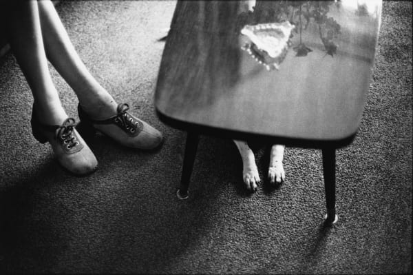 Elliott Erwitt, Amsterdam, The Netherlands, 1973