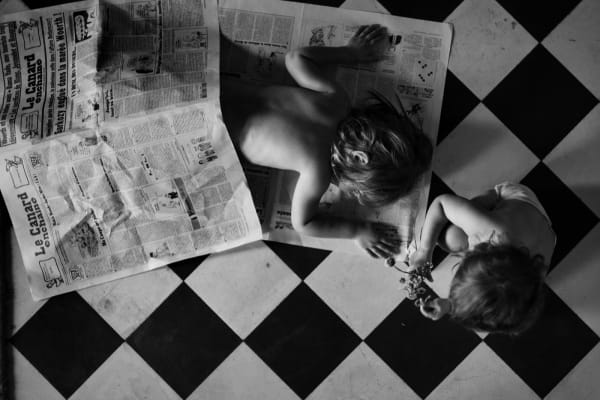 Alain Laboile, Le Canard, 2010