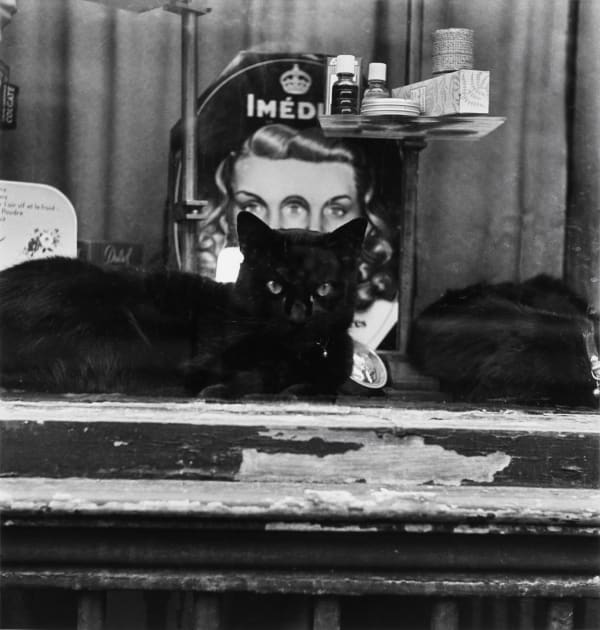 Louis Stettner, Vitrine, Paris, 1951