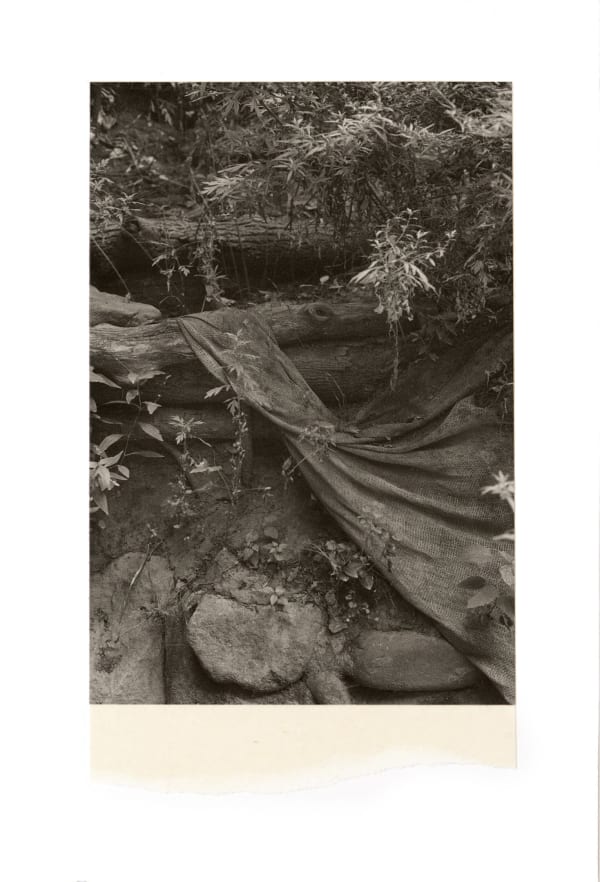 Wesley Stringer, Oh Time, thy Pyramids #005, 2021