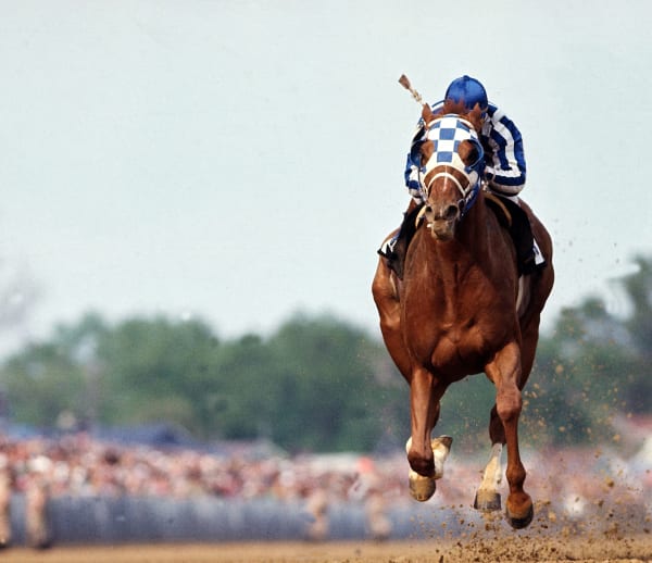 Neil Leifer, Ron Turcotte rides Secretariat to victory and wins the 1973 Kentucky Derby at Churchill Downs. Louisville, Kentucky, 1973