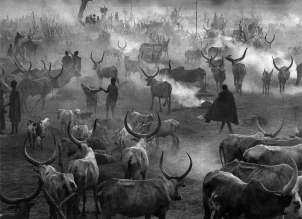 Sebastião Salgado - Dinka Cattle Camp of Amak, Southern Sudan, 2006