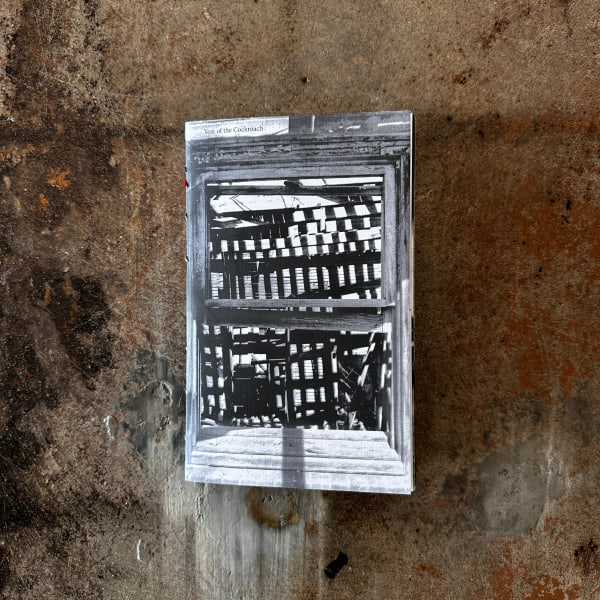 Joseph Rushmore, Year of the Cockroach, 2023