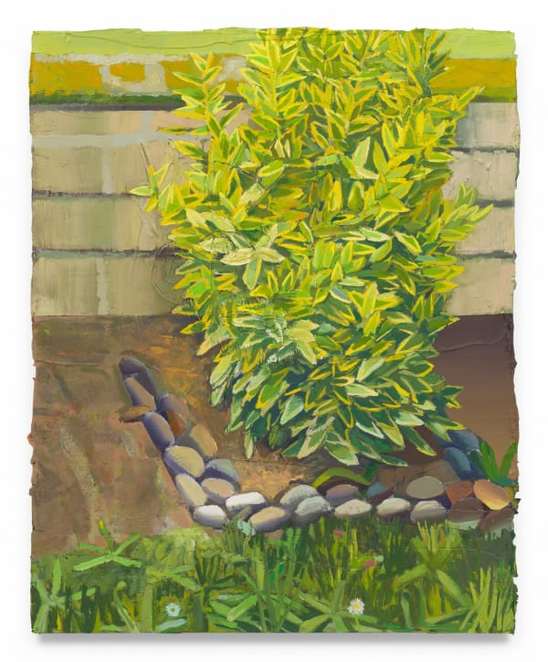 MATHIEU CHERKIT Euonymus Japonicus Bravo, 2025 Oil on canvas 36 1/2 x 29 3/4 inches 92.7 x 75.6 cm