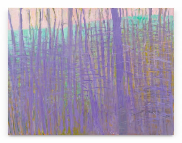 WOLF KAHN Almost Impenetrable, but not Quite..., 2006 Oil on canvas 40 x 52 inches 101.6 x 132.1 cm