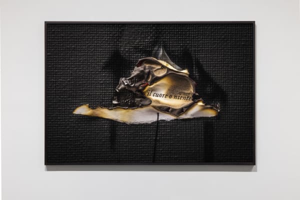 Lucrezia Roda, Tutto il cuore o niente, 2025