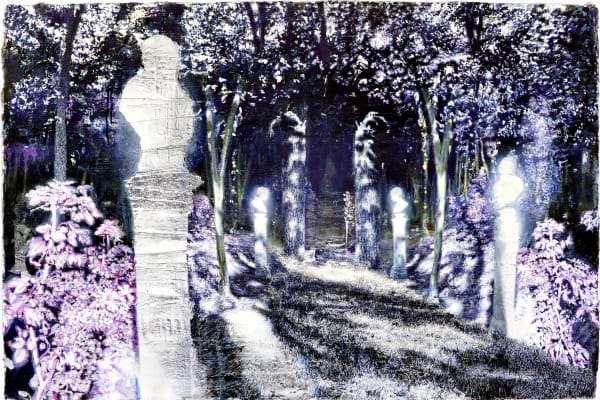 Jörg Lozek, Taking heats , 2022