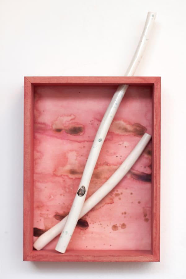 Leila Mirzakhani, Botanical Box (branches), 2022