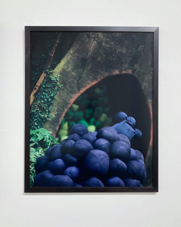 Janaina Tschāpe, Melantropics - Bulbosus Neros, 2006