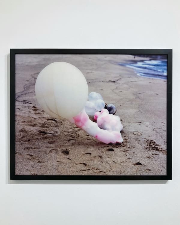 Janaina Tschāpe, Maia 2, 2004