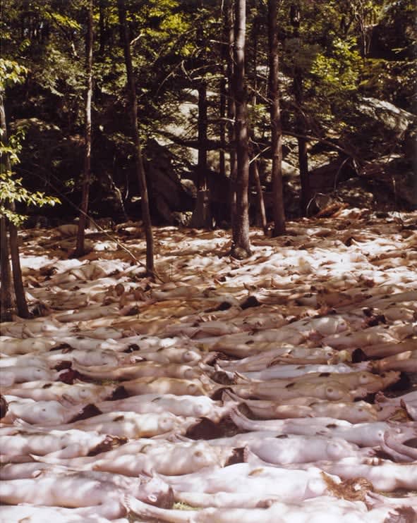 Spencer Tunick, New Platz 2, 2001