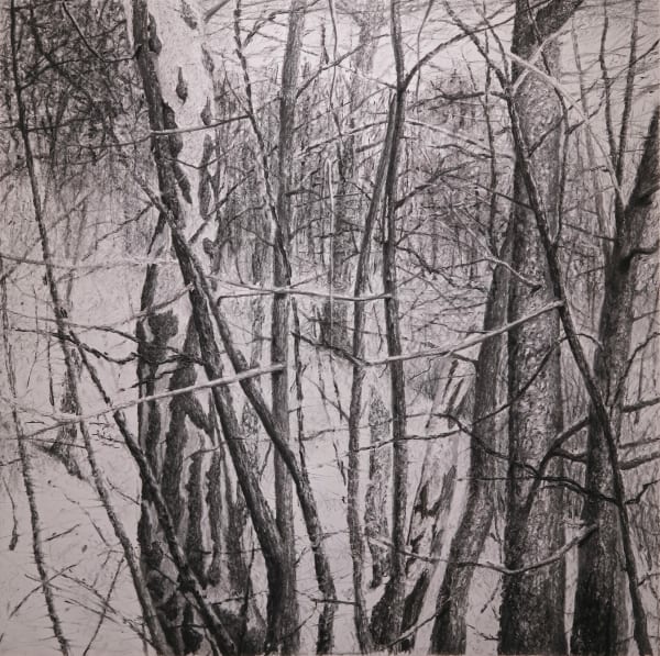 丹.馬諸卡, 《樹林》Forest, 2021