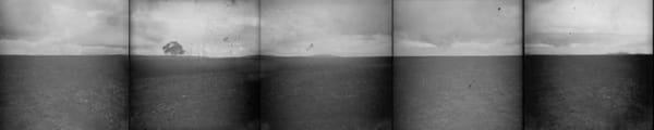 于一蘭, 《地平線:樹》 Horizon: Pohon, 2003