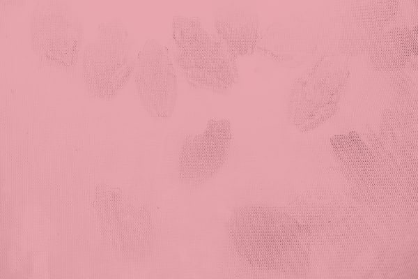 趙仁輝, 《斑腿樹蛙,台北》 Spotted Tree Frogs, Taipei, 2019