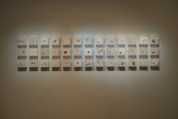 鍾舜文, 《秋日的採集1》 Autumn Collections –1, 2018