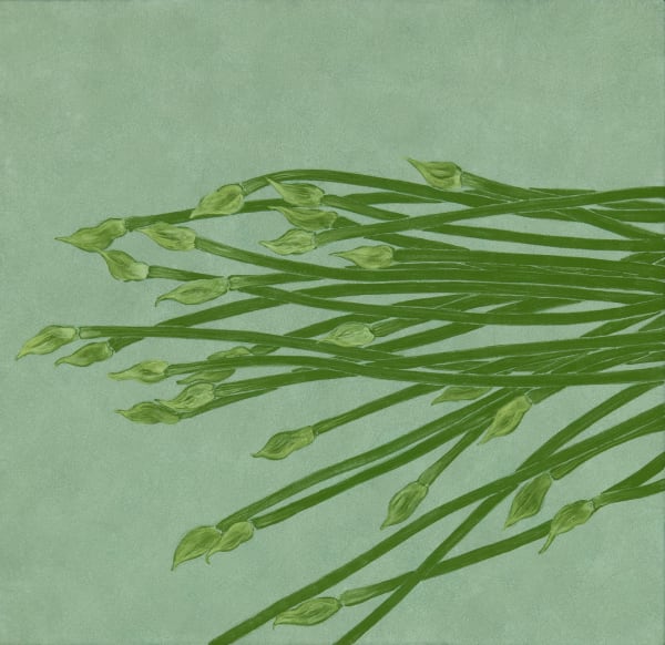 鍾舜文, 《日常採集─筷菜花》 Daily Collecting-Leek Flowers, 2015