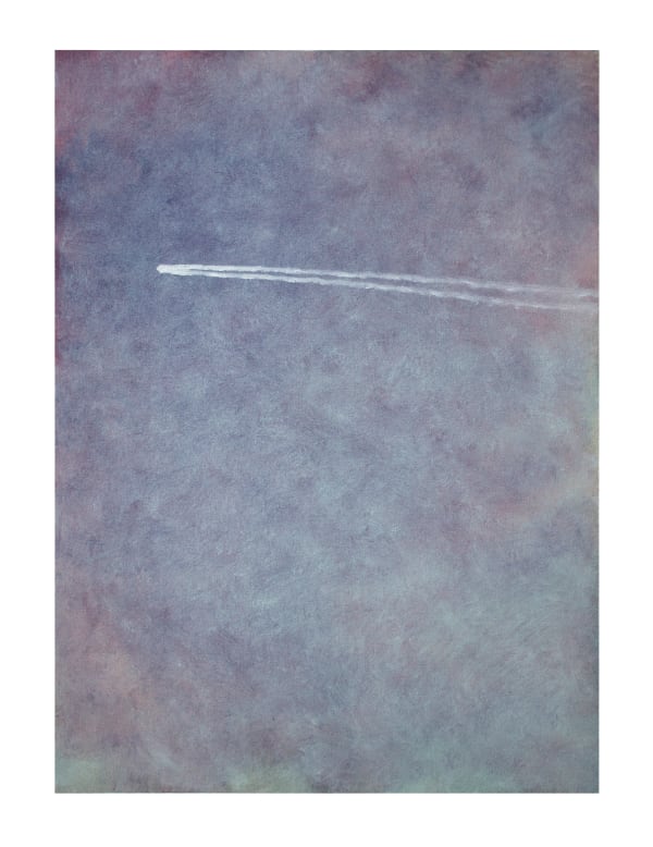 德拉戈斯·巴迪塔, 《機尾雲》 Contrail, 2015