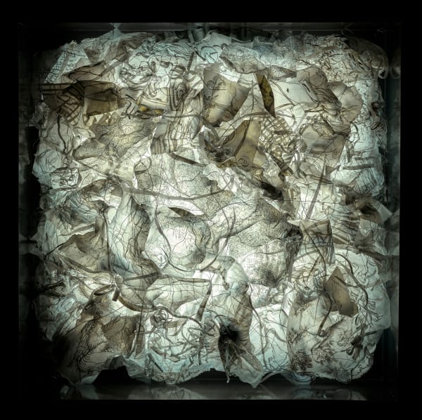 謝鴻均, 《記憶的皺褶 III》 Crumpled Memory III, 2019