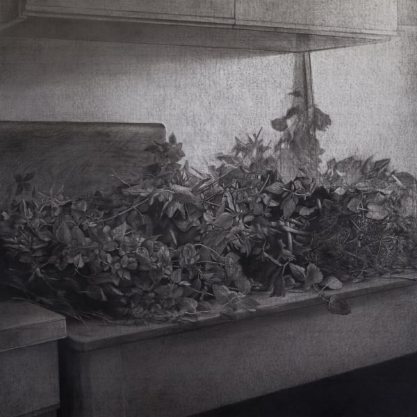 安娜・瑪瑞亞・米庫, 《力量……生活如常》 power...Life has not been the same, 2016