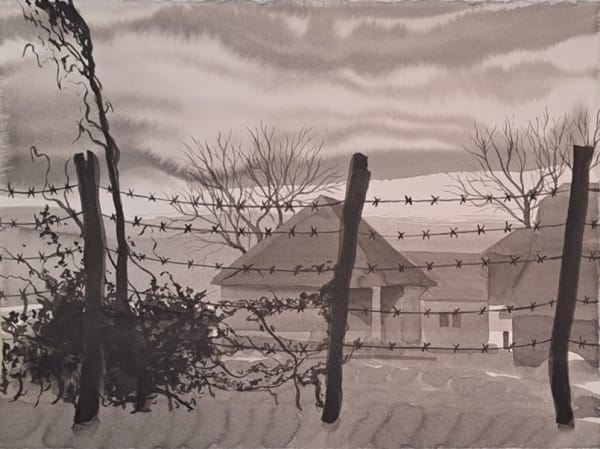 德拉戈斯·巴迪塔, 《鐵絲》Wire, 2020