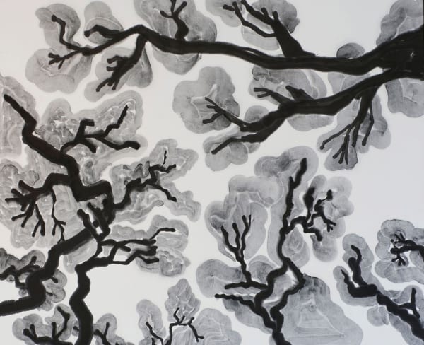楊寓寧, 《樹冠避羞》 Crown Shyness, 2022