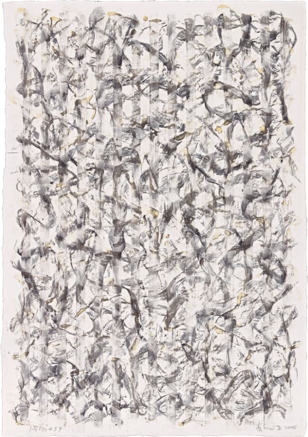 秦一峰, 《線場459》 Line Field 459, 2004