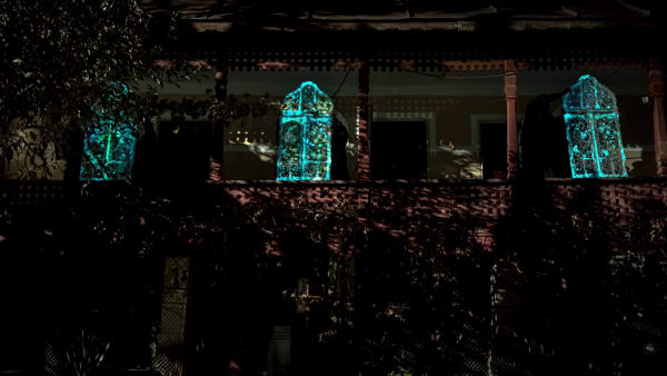 安德利亞・梅達爾, 《從你的窗櫺開始綻放以來》 Since the Wood of Your Window Has Been Blooming , 2024