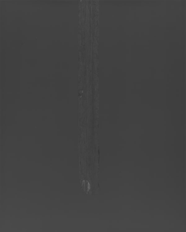 秦一峰, 《2020_03_25 11:32 晴》 2020_03_25 11:32 Cloudless, 2020