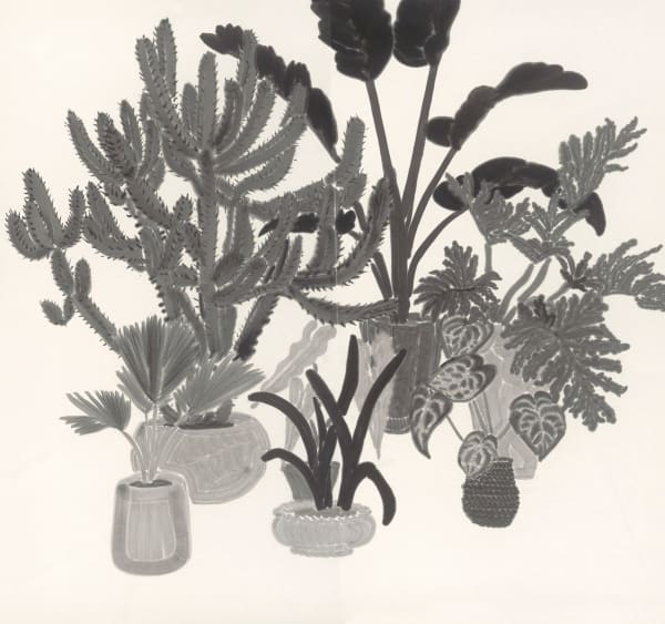 楊寓寧, 《觀看他們,直到不能思考他們》 Watching Them Until They Drift Beyond Comprehension, 2024